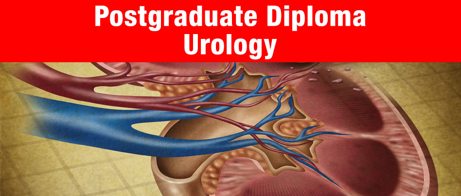 Postgraduate Diploma Urology